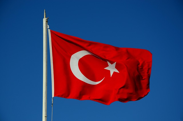 turk, ቱርክ